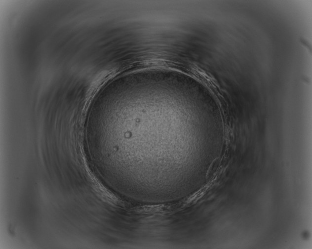 X0000092270049200710041400