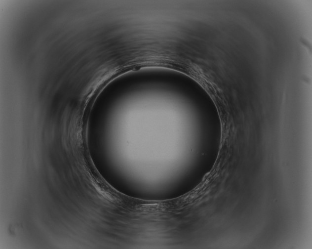 X0000092270050200710041400