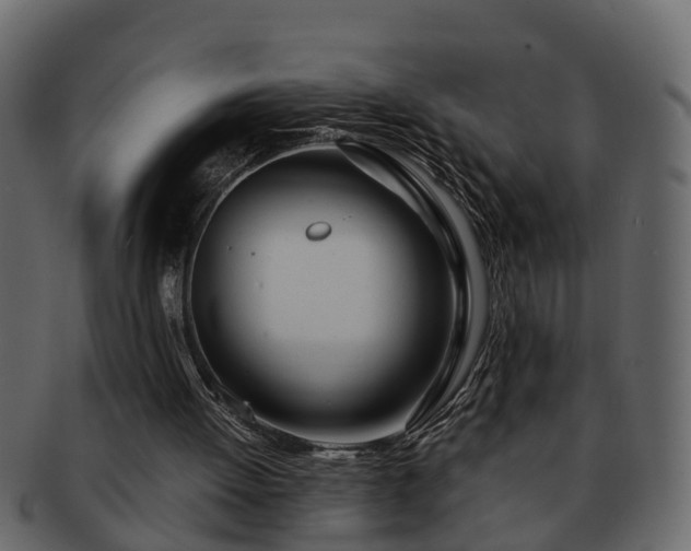 X0000092270052200710041400