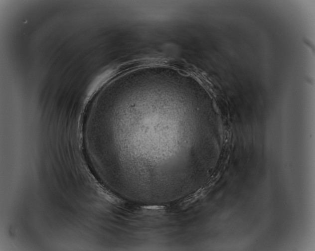 X0000092270053200710041400