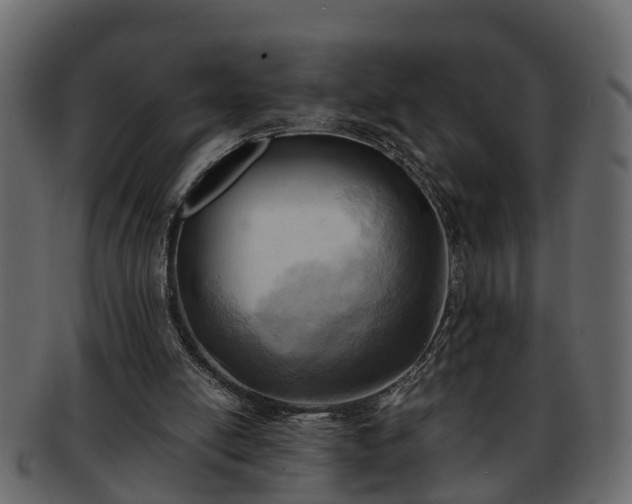 X0000092270054200710041400
