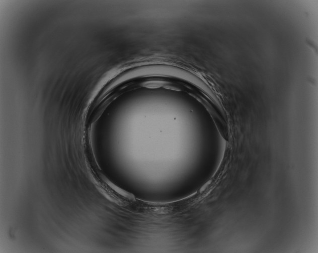 X0000092270056200710041400