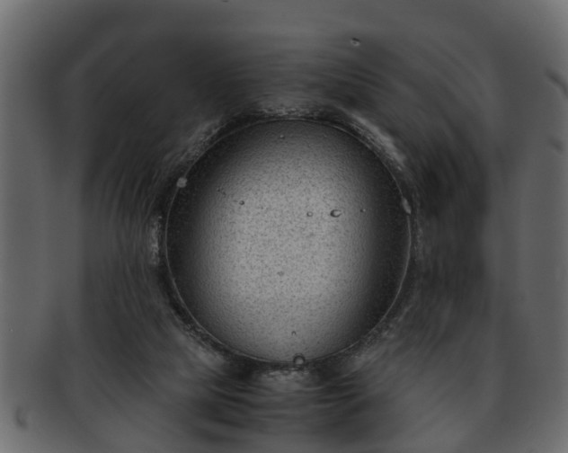 X0000092270065200710041400