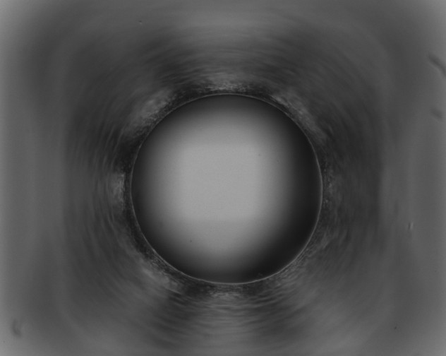 X0000092270066200710041400
