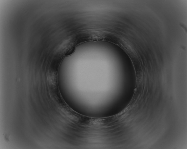 X0000092270078200710041400