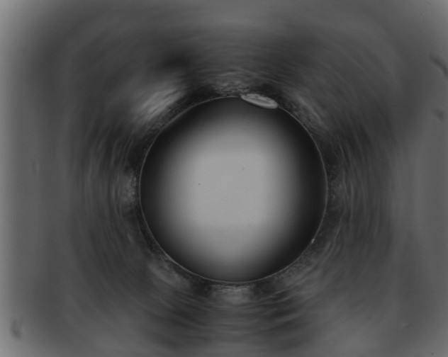 X0000092270081200710041400