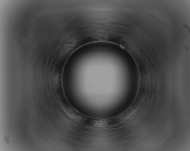X0000092270088200710041400