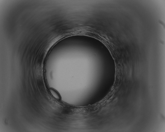 X0000092270100200710041400
