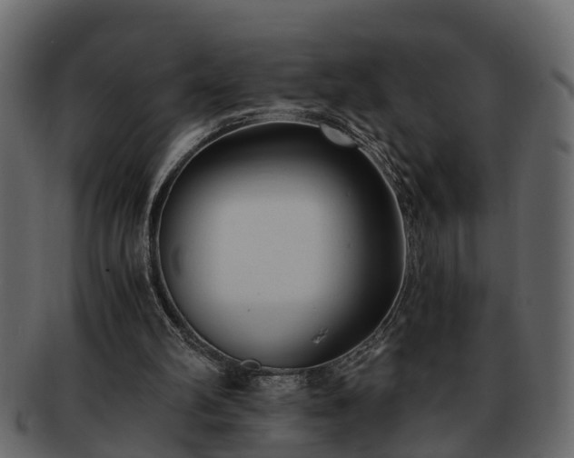 X0000092270102200710041400