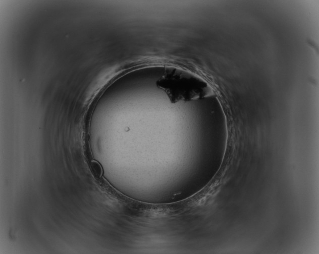 X0000092270103200710041400