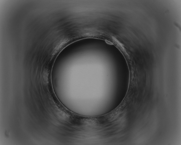 X0000092270106200710041400