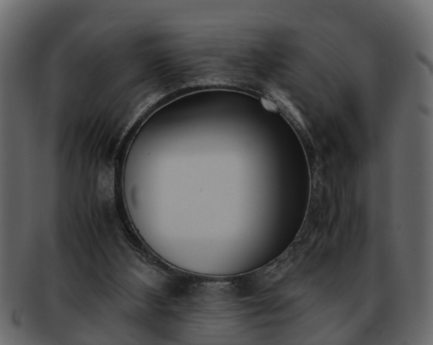X0000092270108200710041400