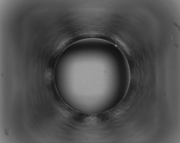 X0000092270119200710041359