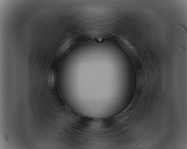 X0000092270124200710041359