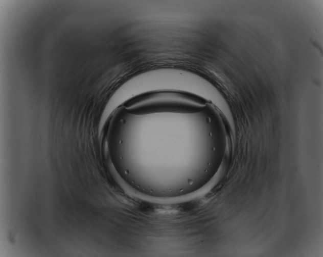 X0000092270125200710041359