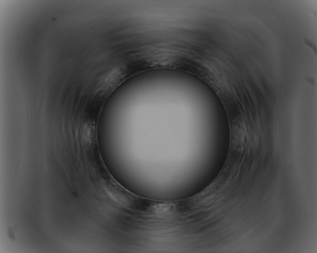 X0000092270126200710041359