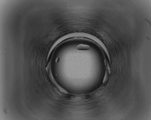 X0000092270129200710041359