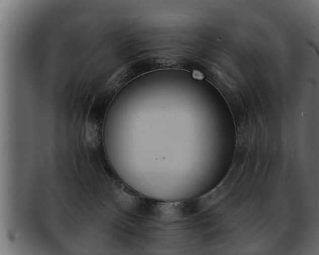 X0000092270136200710041359