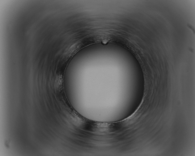 X0000092270144200710041359