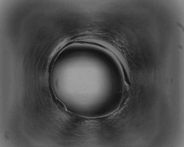 X0000092270150200710041359