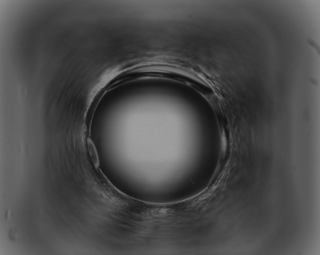 X0000092270152200710041359
