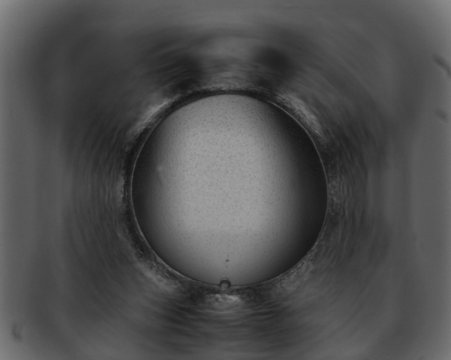 X0000092270159200710041359
