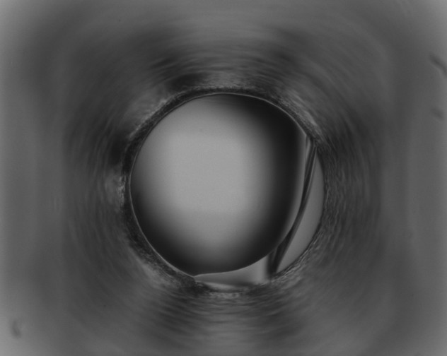 X0000092270160200710041359
