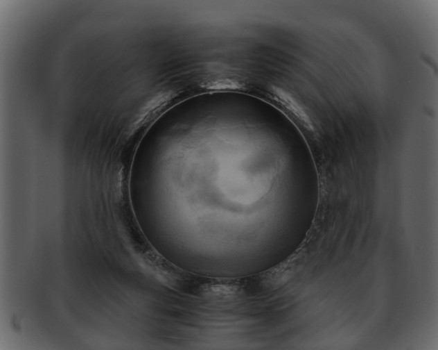 X0000092270163200710041359