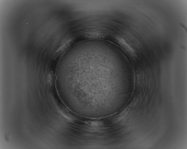 X0000092270165200710041359