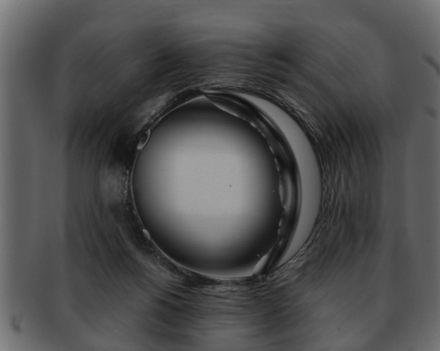 X0000092270168200710041359