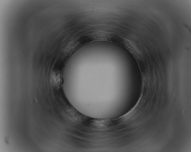 X0000092270190200710041359