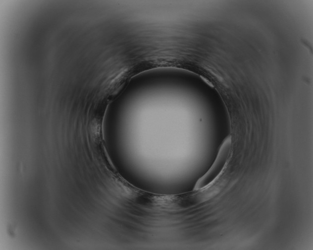 X0000092270192200710041359