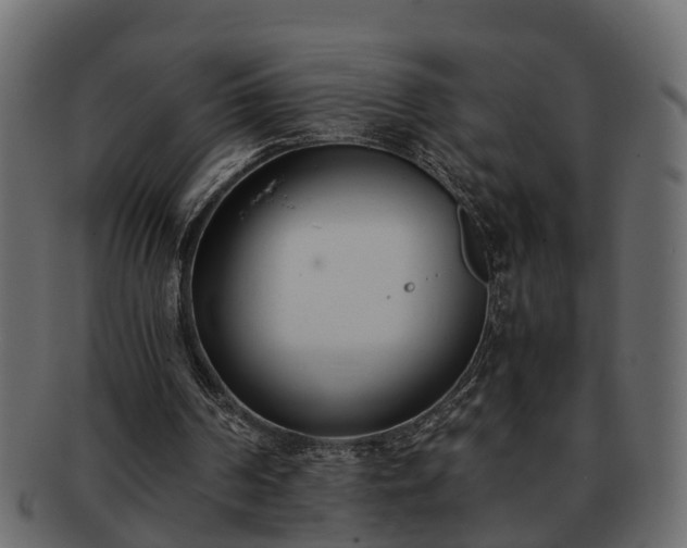 X0000092270194200710041359