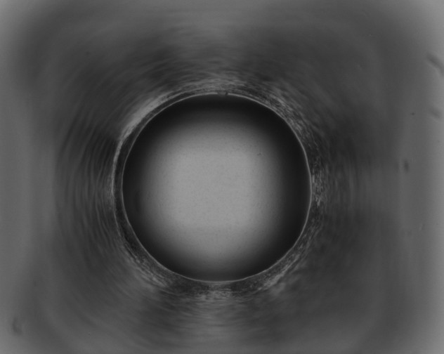 X0000092270196200710041359