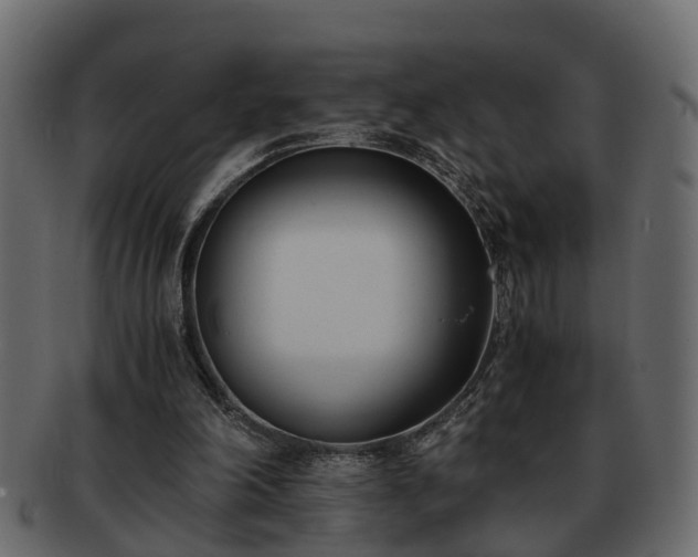 X0000092270198200710041359