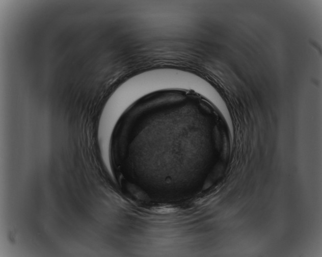X0000092270219200710041358