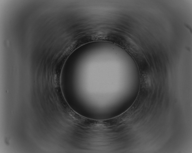 X0000092270224200710041358
