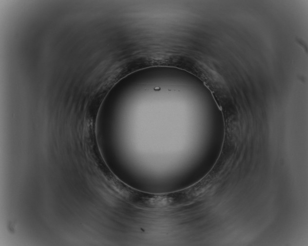 X0000092270225200710041358