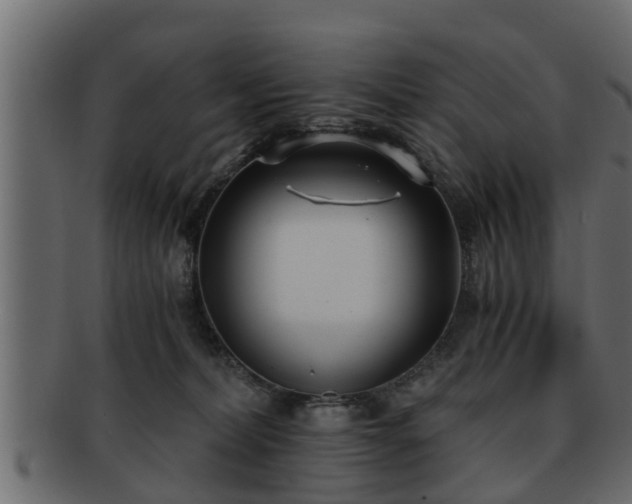 X0000092270228200710041358