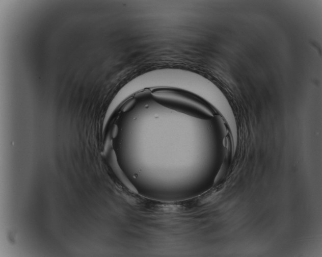 X0000092270233200710041358