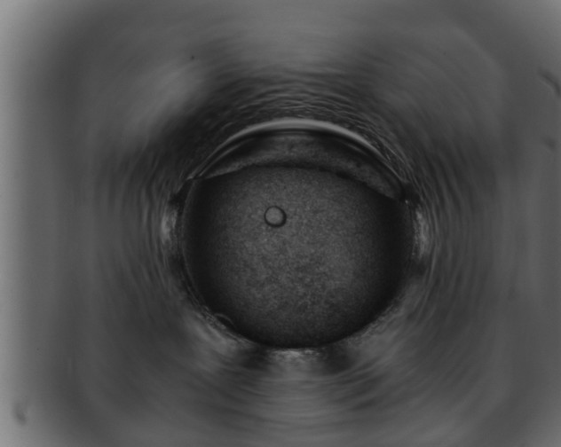X0000092270239200710041358
