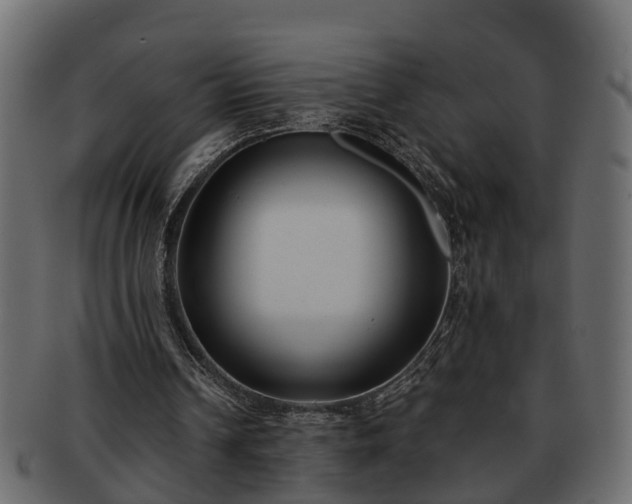 X0000092270242200710041358
