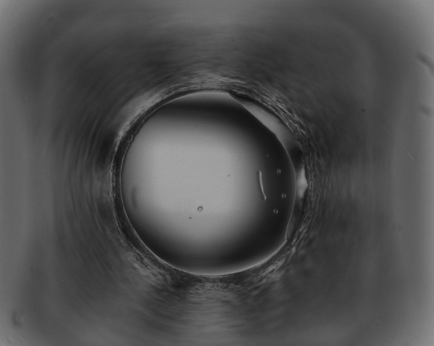 X0000092270244200710041358