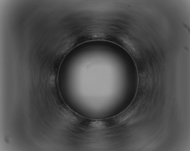 X0000092270269200710041358