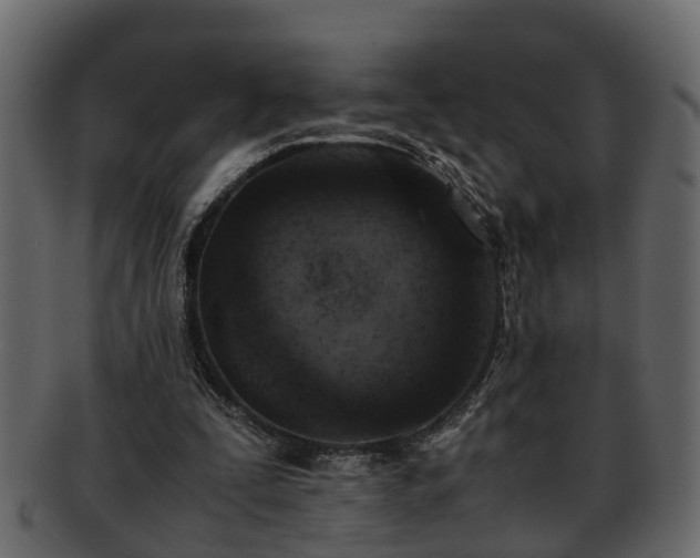 X0000092270295200710041357