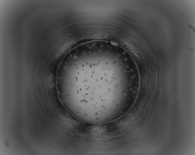 X0000092270303200710041357