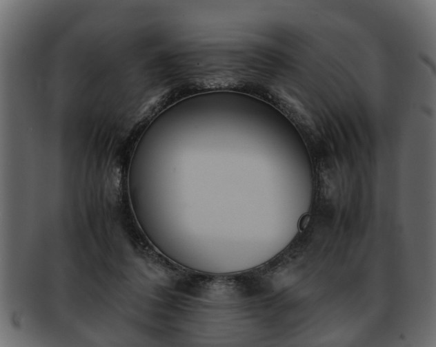 X0000092270308200710041357