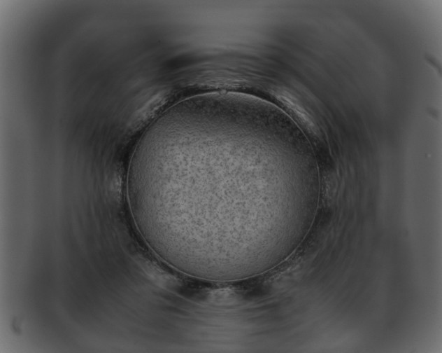 X0000092270309200710041357