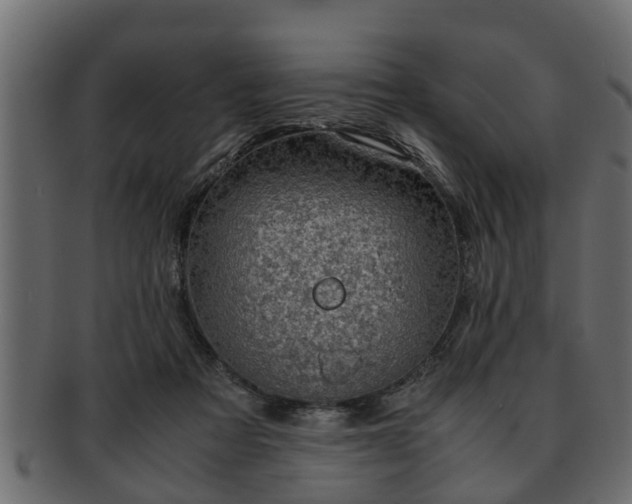 X0000092270313200710041357