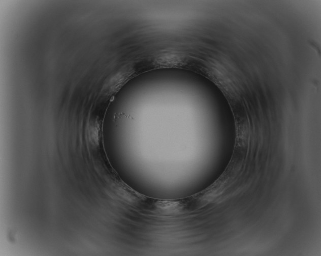 X0000092270334200710041357